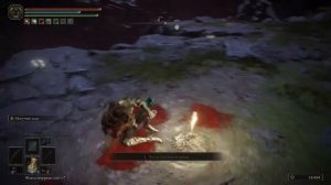 Фарм душ за 5 минут 275 000 на птице в Элден Ринг. (Без мам, пап и талисманов)