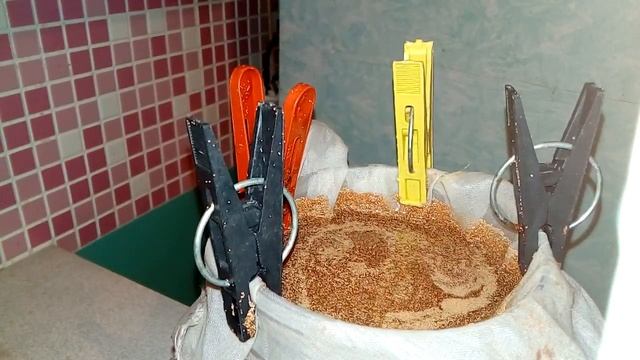 Артемия замораживание смотреть онлайн