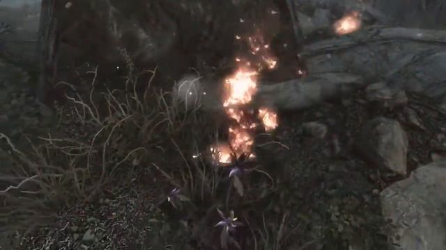 Skyrim Special Edition - новое прохождение с новым графоном | #5 смотреть онлайн