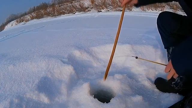 Рыбалка на Томи 31.01.16. Окунь, елец. смотреть онлайн