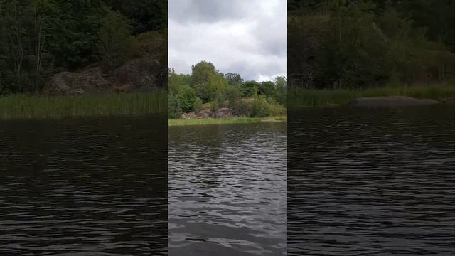 Сузуки 2.5 - Хантер 320 смотреть онлайн