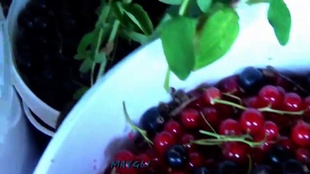 Наша добыча в лесах и на полях в Смоленске. смотреть онлайн