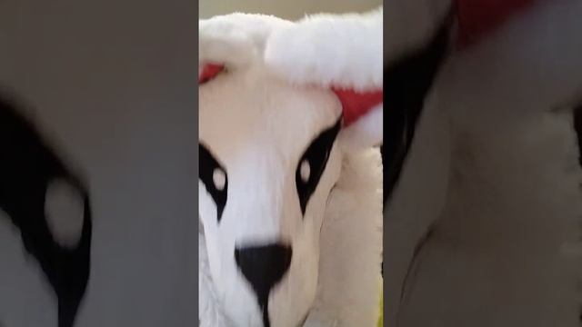 Знаю что кРЫнж #раптор #фурри #фурритоп смотреть онлайн