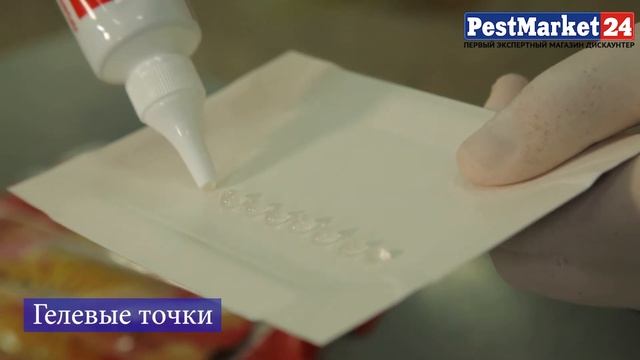 Гелевая обработка помещений от тараканов, муравьев. Методы борьбы с ползающими насекомыми смотреть онлайн
