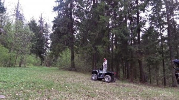 Обзор Kawasaki brute force 750i