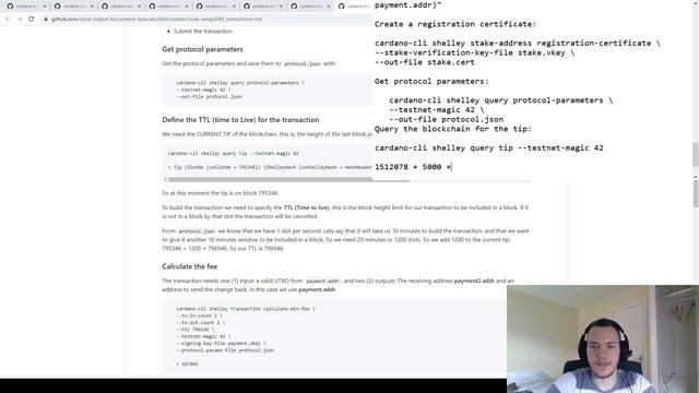 Building a Cardano Stake Pool from Scratch (Shelley Testnet) смотреть онлайн