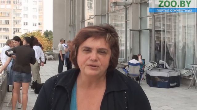 "Aikemuno" Питомник собак породы Чихухуа. смотреть онлайн