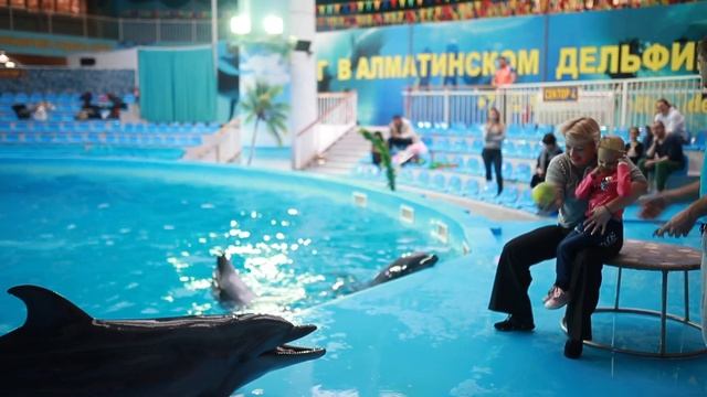 #ДАРИМ_РАДОСТЬ И АЛМАТИНСКИЙ ДЕЛЬФИНАРИЙ "НЕМО" смотреть онлайн