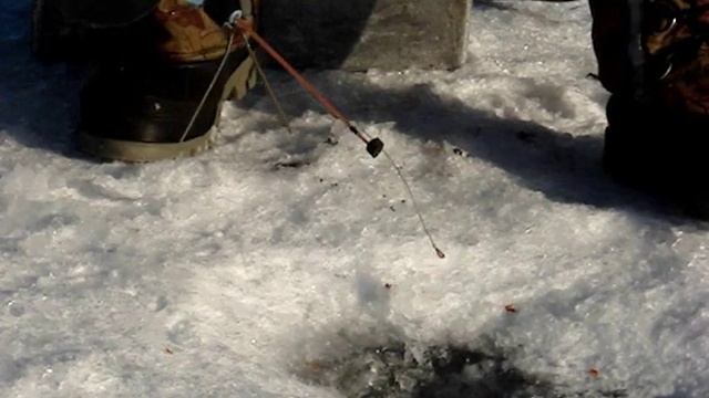 Ловля ленка с руки Забайкальский край смотреть онлайн