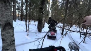 Путешествие на МОТОСОБАКАХ