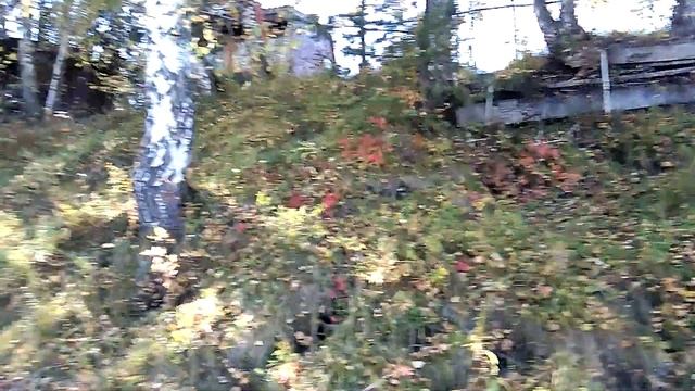 #Горный Алтай #Катунь #бирюзовая #красота #природа смотреть онлайн