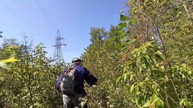 Приключения на Обском Плато смотреть онлайн