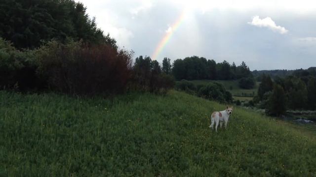 Джой на холме смотреть онлайн