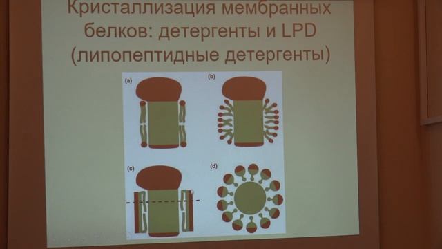 Нечипуренко Д. Ю. - Экспериментальные методы в биофизике - Рентгеноструктурный анализ смотреть онлайн