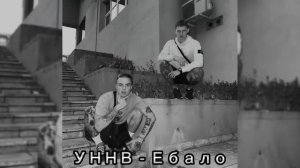 УННВ — Принципы, рамки и границы