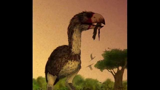 gastornis tribute смотреть онлайн