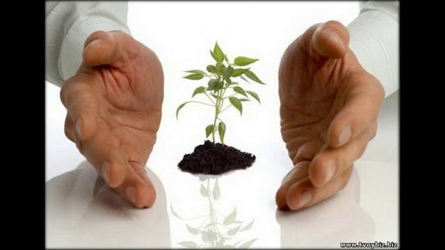 как открыть свое дело с нуля в украине смотреть онлайн