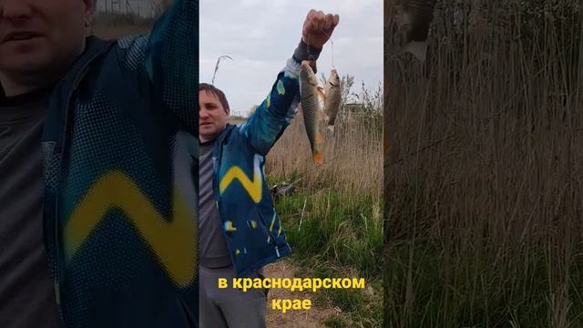 #рыбалка #краснодар #охота #отдых смотреть онлайн
