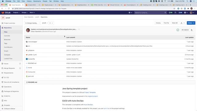 ECS Task Definition from local JSON смотреть онлайн