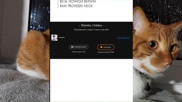 Игрок, который не может повысить уровень. Главы 6-11 смотреть онлайн