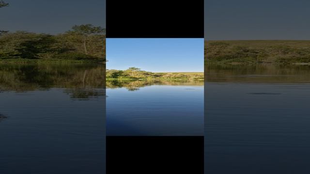 Вода просто кипит от малька. Красота и тишина. #рыбалка #природа #тишина #фишмир #отдых #байдарка смотреть онлайн