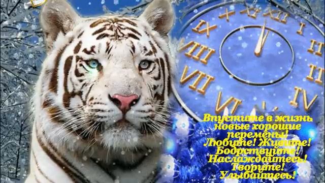 С НОВЫМ 2022 ГОДОМ!! СЛЫШИТЕ РЫЧАНИЕ - ЭТО Я, ВАШ ТИГР!! ВСТРЕЧАЙТЕ!!! смотреть онлайн