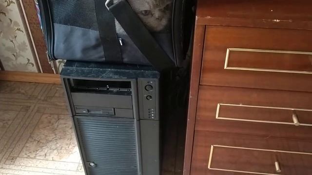 ЧТО Я БЕРУ В МАШИНУ,ЧТО У МЕНЯ В СУМКЕ И ХВАТИТ ЛИ МНЕ ЭТОГО??? смотреть онлайн