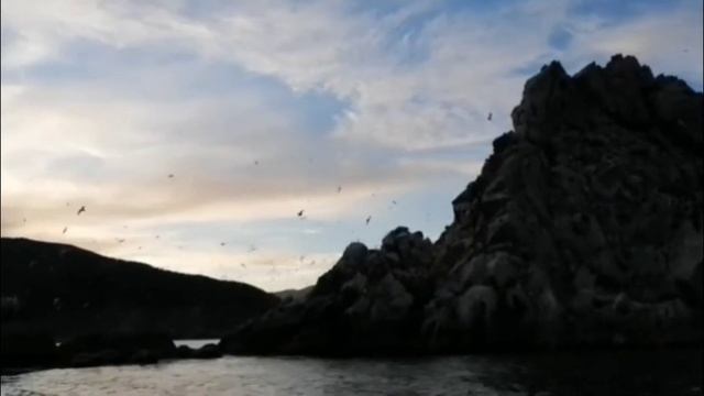 Один день Владимира Высоцкого в Магадане смотреть онлайн