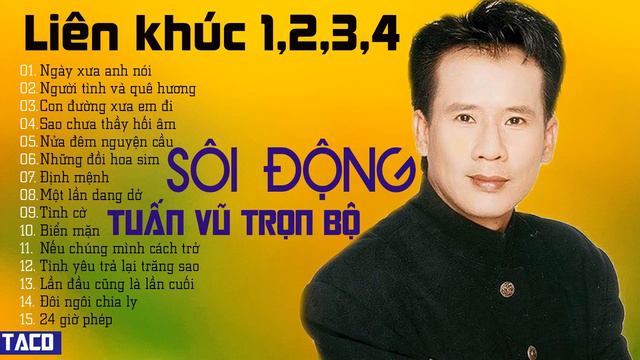 LK NGÀY XƯA ANH NÓI | LK TUẤN VŨ SÔI ĐỘNG 1,2,3,4 TRỌN BỘ | ĐỈNH CAO NHẠC VÀNG TRỮ TÌNH HẢI NGOẠI