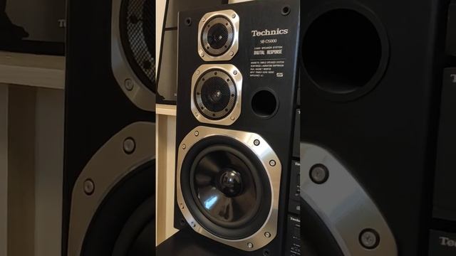 Technics D5000