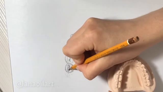 Рисую зубы (сегмент) нижней челюсти смотреть онлайн