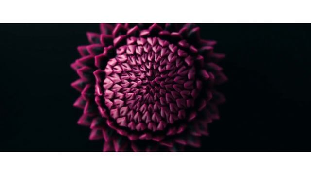 Toshiba - detale ukryte w szczegółach смотреть онлайн