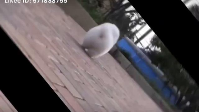 20 сентября 2020 г. смотреть онлайн