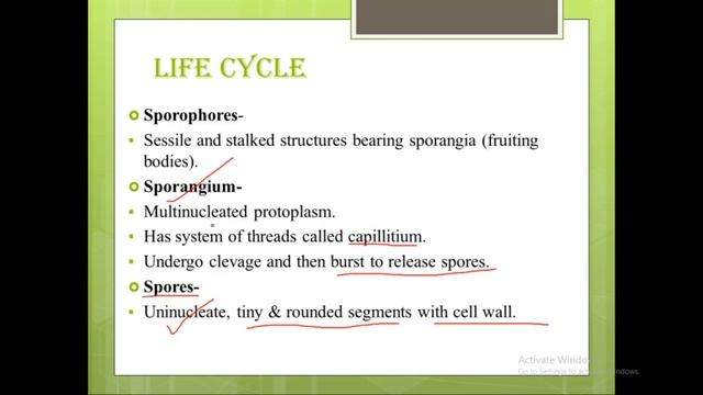 CLASS-11 CHAPTER-2 PART-17 BIOLOGICAL CLASSIFICATION-KINGDOM PROTISTA-PHYLUM-MYXOMYCOTA-ACELLULAR S смотреть онлайн