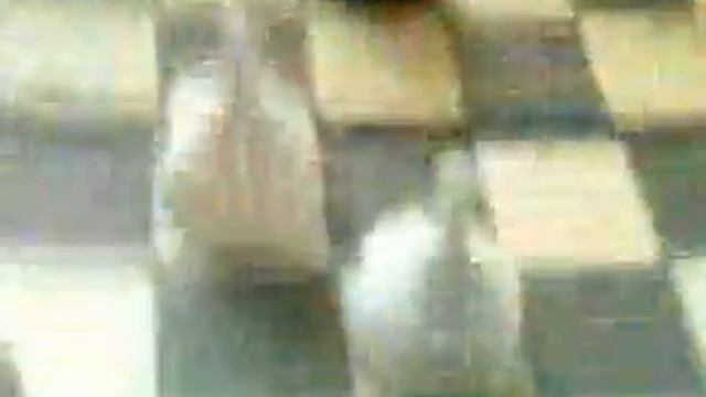 Шахматы.Урок 7.Пешки. смотреть онлайн