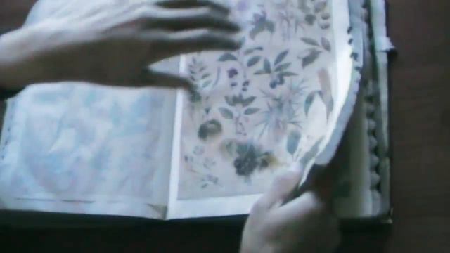 Очень толстые книги / Webster's dictionaries (1918,1950) смотреть онлайн