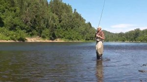 Рыбалка  / Тиролька -  Хариус , река Томь .