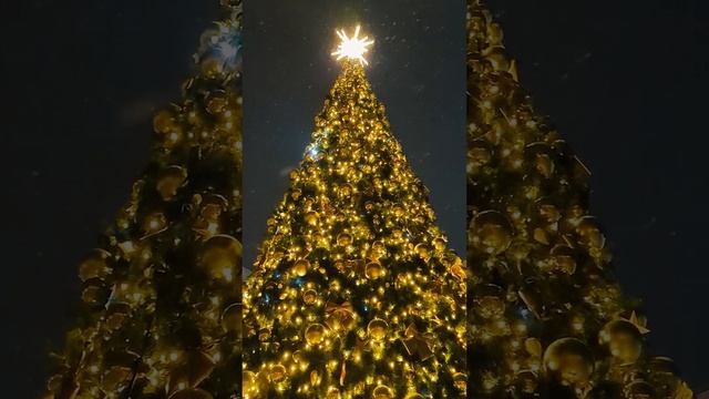 Вечерний снегопад.mp4