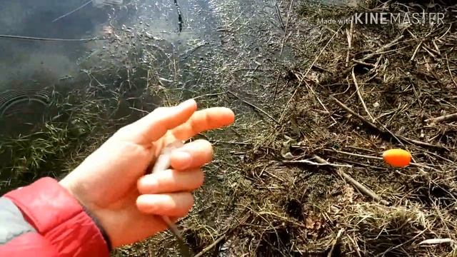 ПОПЛА ПОППЕР.Клюет на ПОПЛА-ПОППЕР при КАЖДОМ ЗАБРОСЕ.Рыбалка на поплапоппер  весной 2020.