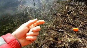 ПОПЛА ПОППЕР.Клюет на ПОПЛА-ПОППЕР при КАЖДОМ ЗАБРОСЕ.Рыбалка на поплапоппер  весной 2020.