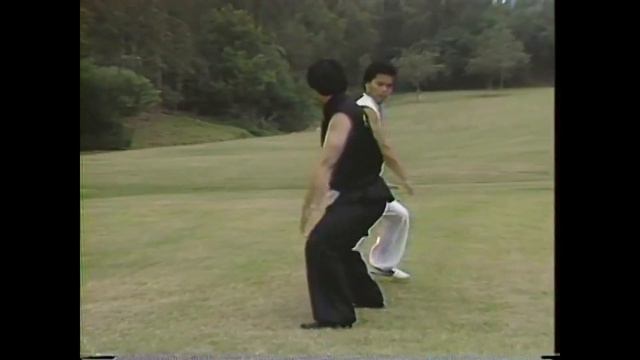 Чой Ли Фут - форма Цветок сливы смотреть онлайн