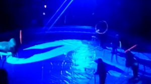 Краснодарский цирк Никулина