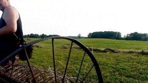 Конные грабли. Заготовка сена#влог #лошадь#жизньвдеревне