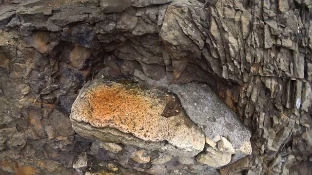 Крым 2021, Севастополь, Фиолент, Музей Херсонес Таврический. смотреть онлайн