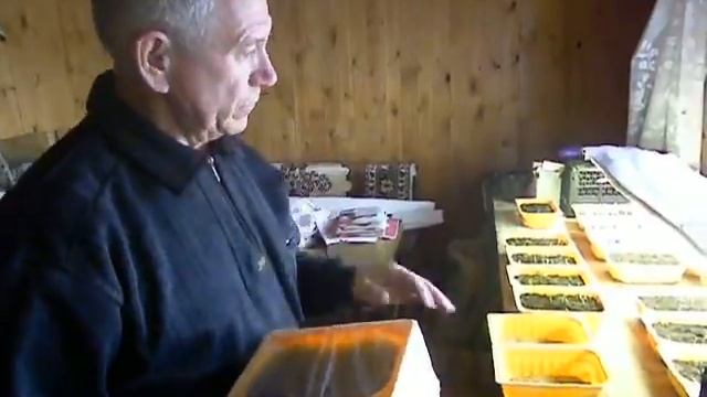 Готовим землю для посева семян смотреть онлайн