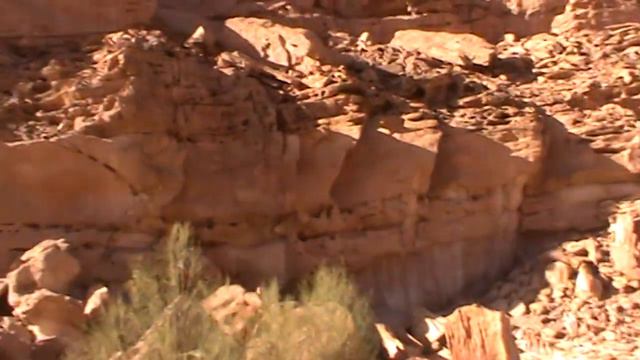 шарм аль шейх смотреть онлайн
