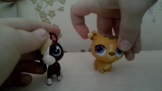 Как не надо снимать видео! 2 Часть. смотреть онлайн