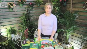 Посадка Петунии ✿ какой грунт выбрать?  (Часть 1)