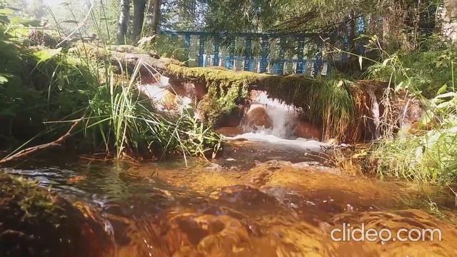 Медитация Возвращение своей энергии смотреть онлайн