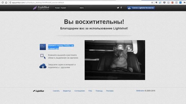 Как делать снимки экрана смотреть онлайн